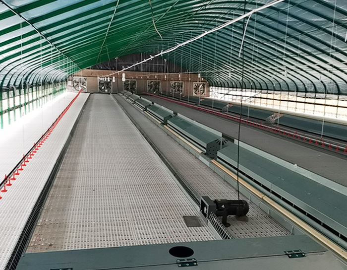 Female chain feeding system